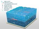研究发现大尺度海洋环流能量耗散驱动混合新路径