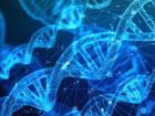 新研究表明DNA突变可能来自于量子隧道这种奇怪的量子力学效应
