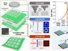 上海微系统所研制出用于多模态信息存储加密的植入式瞬态可溶蚕丝蛋白存储器